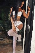 Foto Adhara Incontri Trans D�sseldorf 004915212409124 - 63