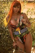 Foto Allana Incontri Trans Riccione 3318788751 - 66