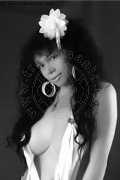 Foto Amanda Ts Incontri Trans Fulda 00491799604168 - 4