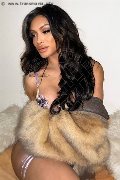 Foto Angel Bunny Incontri Trans Milano 3474642611 - 27