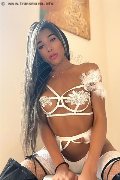 Foto Angel Jade Pornostar Incontri Trans Lecce 3485661010 - 133
