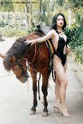 Foto Bianca Lady Boy Incontri Trans Pordenone 3932233064 - 4