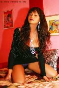 Foto Brenda Incontri Trans Ragusa 3532073699 - 3
