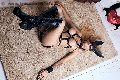 Foto Bruna Mor Incontri Trans Roma 3510998222 - 30