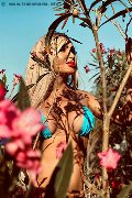 Foto Chrystal Medeiros Pornostar Incontri Trans Roma 3898313619 - 38