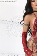 Foto Gabriela Martins Pornostar Incontri Trans Padova 3284719750 - 14