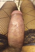 Foto Hot Virna La Super Dotata Incontri Trans Milano 3494393969 - 3