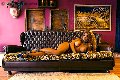 Foto Jessica Aryani Incontri Trans Brescia 3932507943 - 23
