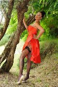 Foto Keylla Marques Pornostar Xxl Incontri Trans Fortaleza 3337112655 - 62