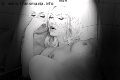 Foto Mary Ts Incontri Trans Francoforte 00491751281117 - 7