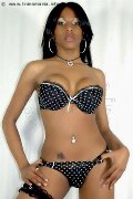 Foto Melany Santos Incontri Trans San Paolo 005511958948556 - 26