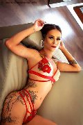 Foto Moana Incontri Trans Busto Arsizio 3270621849 - 24