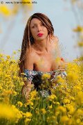 Foto Monica Kicelly Incontri Trans Parma 3245833097 - 207