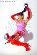 Foto Morena Tx Incontri Trans Como 3397748749 - 54