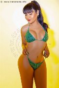 Foto Morena Tx Incontri Trans Como 3397748749 - 52