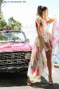 Foto Nauana Lima Pornostar Incontri Trans Milano 3936529793 - 159
