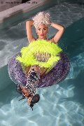 Foto Nina La Divina Incontri Trans Ibiza 0034617911341 - 85