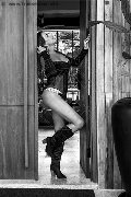 Foto Paty Ferrary Incontri Trans Rio De Janeiro 005521974294018 - 1