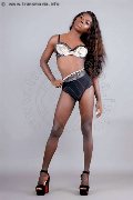 Foto Safira Snt'z  Incontri Trans Alba Adriatica 3278243596 - 47