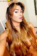 Roma Trans Tiffany Oliveira 371 61 40 791 foto selfie 67