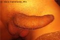 Napoli Trans Vittoria Mazza 334 77 63 969 foto selfie 17
