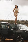 Foto Vanessa Hilton Incontri Trans Modena 3245846577 - 110