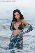 Foto Vanessa Hilton Incontri Trans Modena 3245846577 - 113