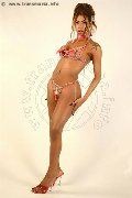 Foto Vick Campana Incontri Trans Roma 3486445725 - 3