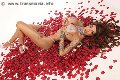 Foto Yasmine Incontri Trans Modena 3511351263 - 3