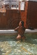 Foto Alessandra Toledo Pornostar Incontri Trans Rimini 3396743933 - 21
