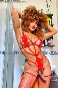 Foto Hot Stella Incontri Trans Milano 3295563971 - 5