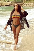 Foto Mirella Brasiliana Incontri Trans Novara 3271721805 - 2