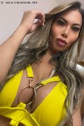 Napoli Trans Dafne Pornostar 380 14 22 205 foto selfie 16