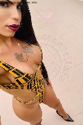 Treviso Trans Rayla Rios 329 38 77 403 foto selfie 15