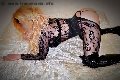 Foto Sexy Thays Incontri Trans Francavilla Fontana 3913000226 - 12