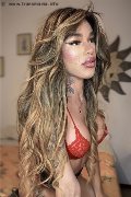 Foto Sofia Incontri Trans Milano 3473029531 - 6